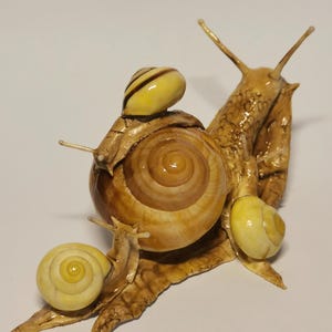 Snail, snail, decoration