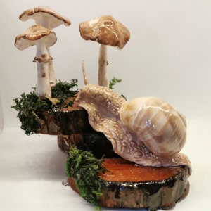 Decorative snails and mushrooms handmade