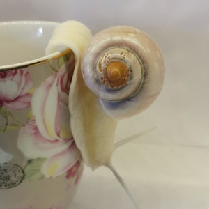Snail, handmade, decoration, snail