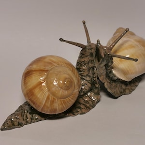 Snail, snail, decoration