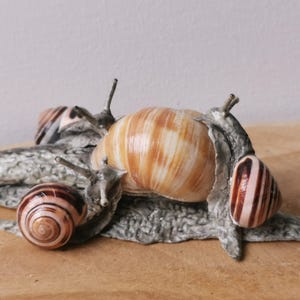 snail, snail, decoration