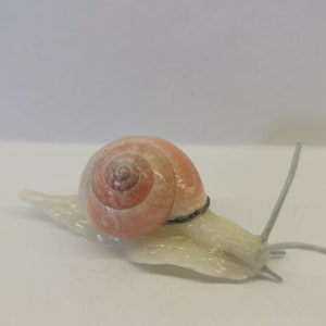 Snail, handmade, decoration, edible snail, modeling clay