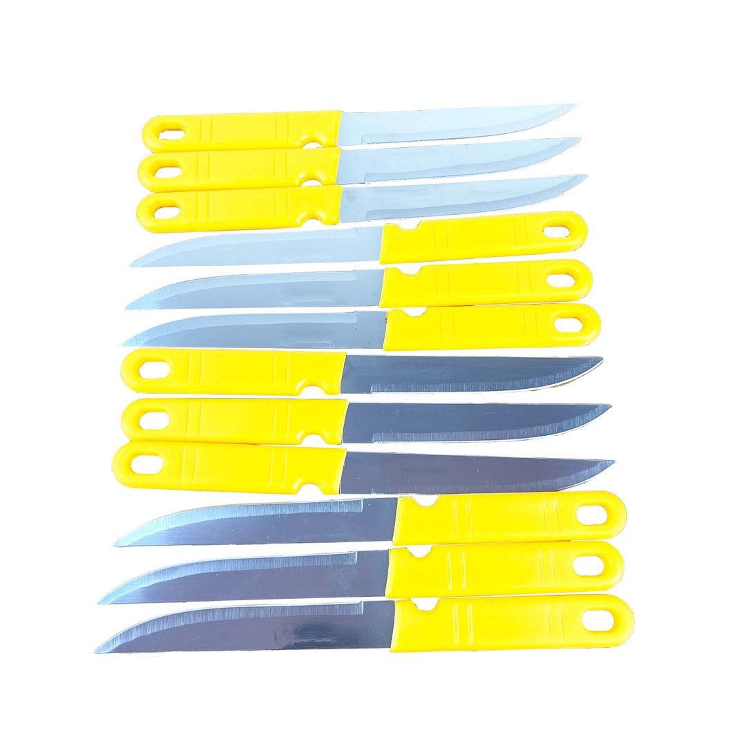 Set of 12 Fruit Knives, 5 Inch Blade Stainless Knives Plastic Handle