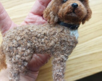 Nadel gefilztes braunes Cockapoo
