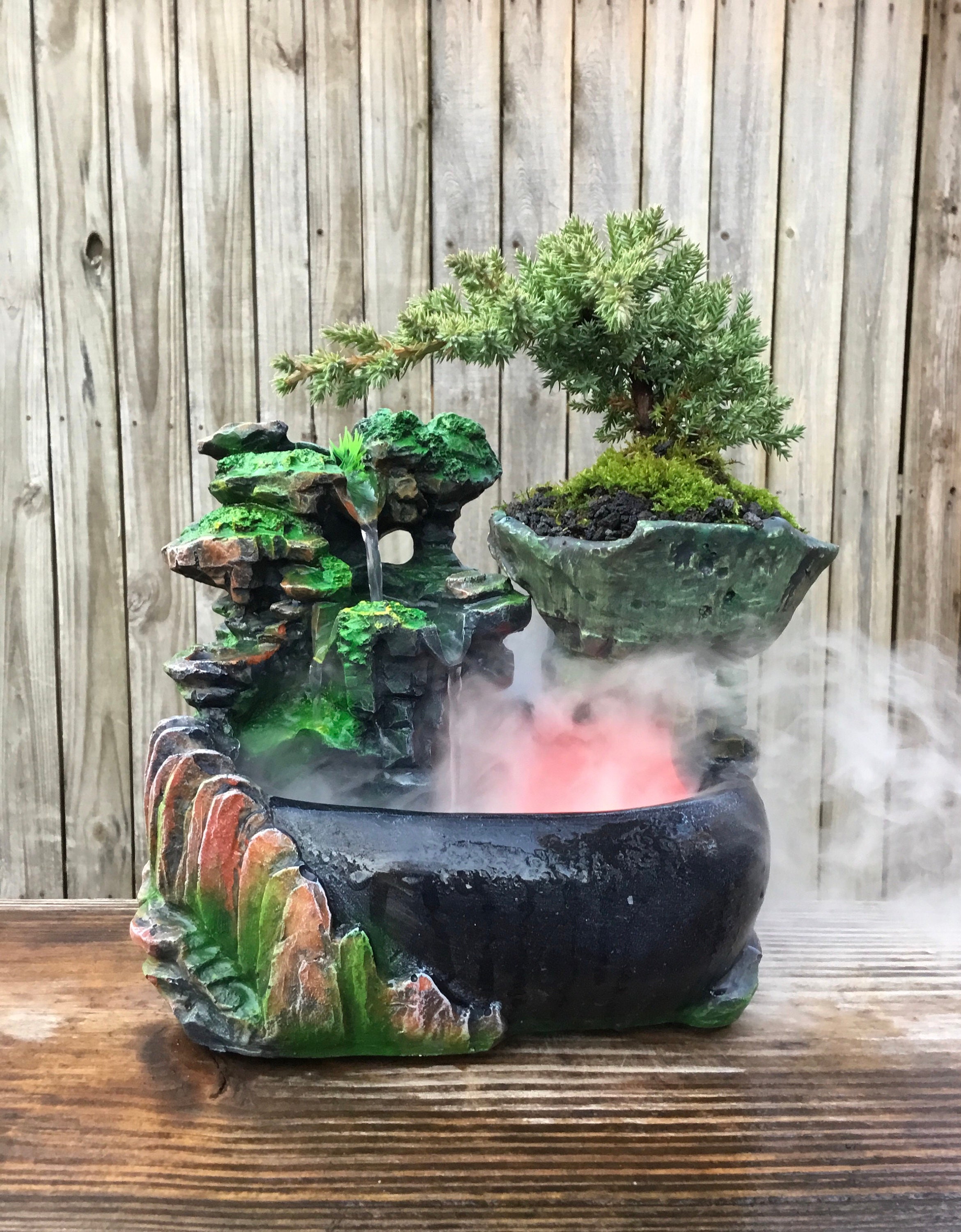 indoor bonsai samen Set mit 10 Bonsai zum Pflanzen – Komplettbox mit Samen, Töpfen, Werkzeug &  Anleitung – Einfaches Indoor-Pflanzset – Geschenkidee für Gartenliebhaber –  Cultivea main image 1
