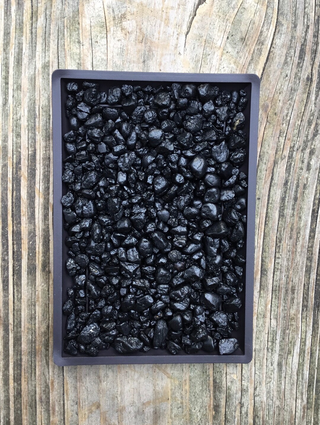 Bonsai Humidity Tray 6plastic Tray With Black or White Etsy