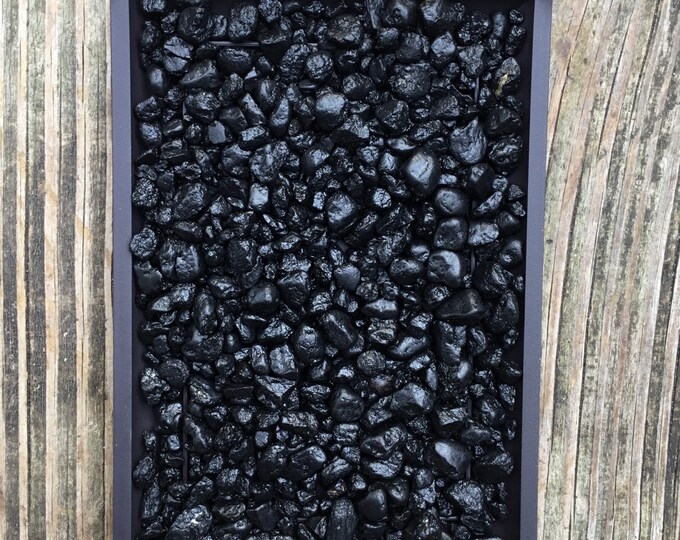 Bonsai Humidity Tray 8 Inch Plastic Tray With Black or White Pebbles Etsy