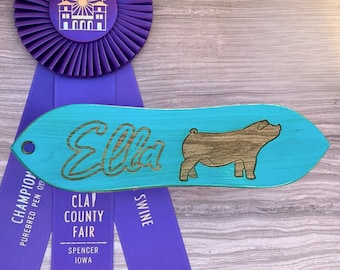 Personalized Show Pig Brush: Custom Livestock Supplies - Teal