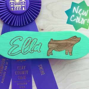 Personalized Show Pig Brush: Custom Livestock Supplies - Mint Green