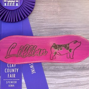 Custom Show Brush, Show Pig Brush, Personalized Livestock Supplies - Magenta Pink