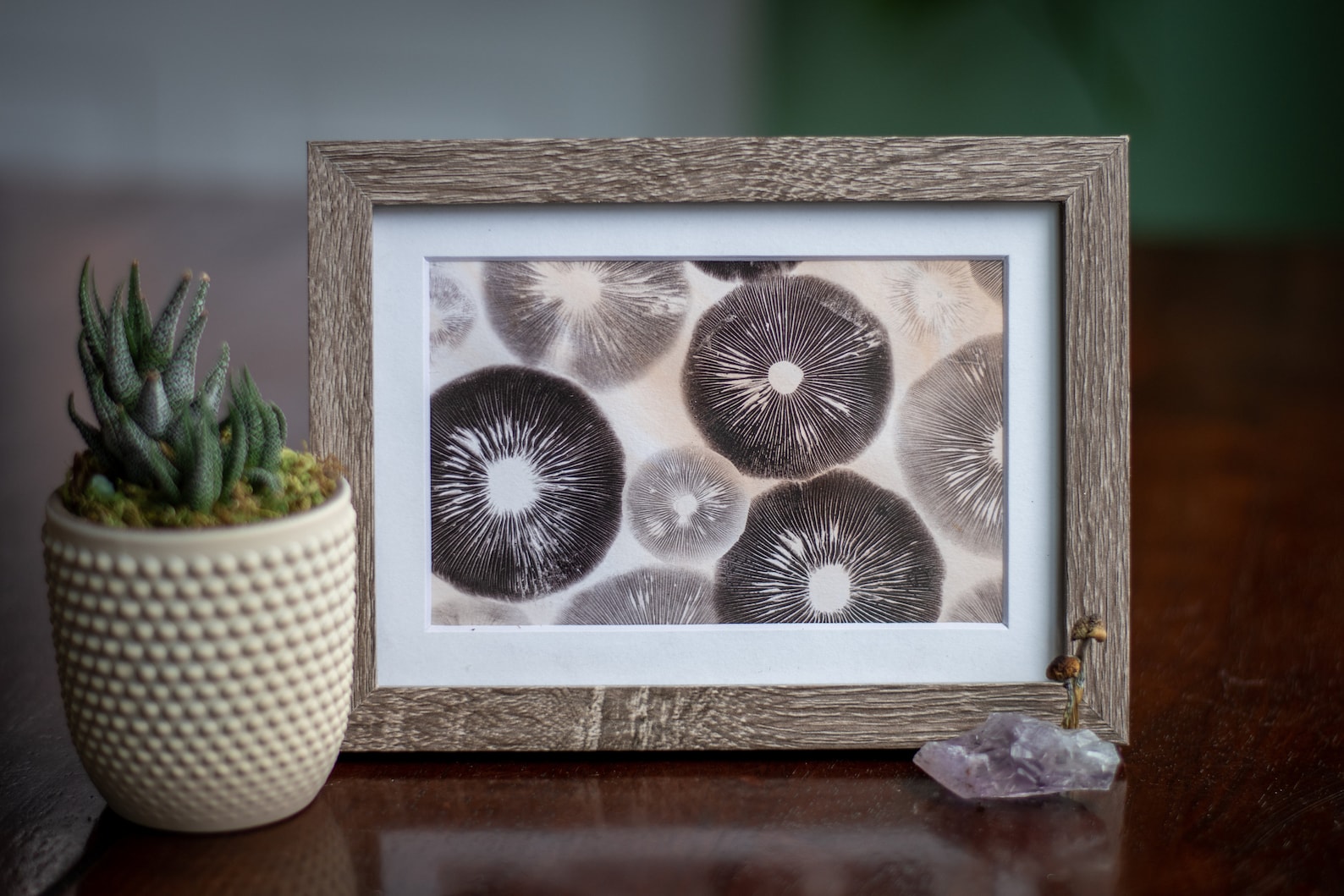 spore print art