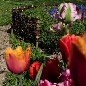 Un ensemble de cinq clôtures en osier pour le jardin, clôture naturelle, clôture décorative en osier, palissade de jardin image 8