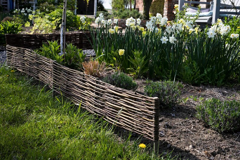 Un ensemble de cinq clôtures en osier pour le jardin, clôture naturelle, clôture décorative en osier, palissade de jardin image 2