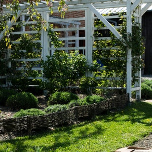 Un ensemble de cinq clôtures en osier pour le jardin, clôture naturelle, clôture décorative en osier, palissade de jardin image 7