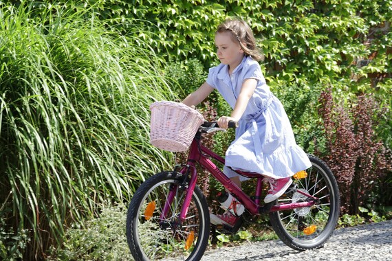 dat is alles commentator Horizontaal Kinderfietsmand Kindermand Kleine Fietsmand Rieten - Etsy Nederland