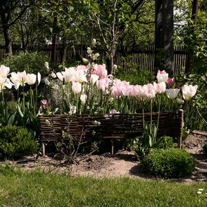 Un ensemble de cinq clôtures en osier pour le jardin, clôture naturelle, clôture décorative en osier, palissade de jardin image 9