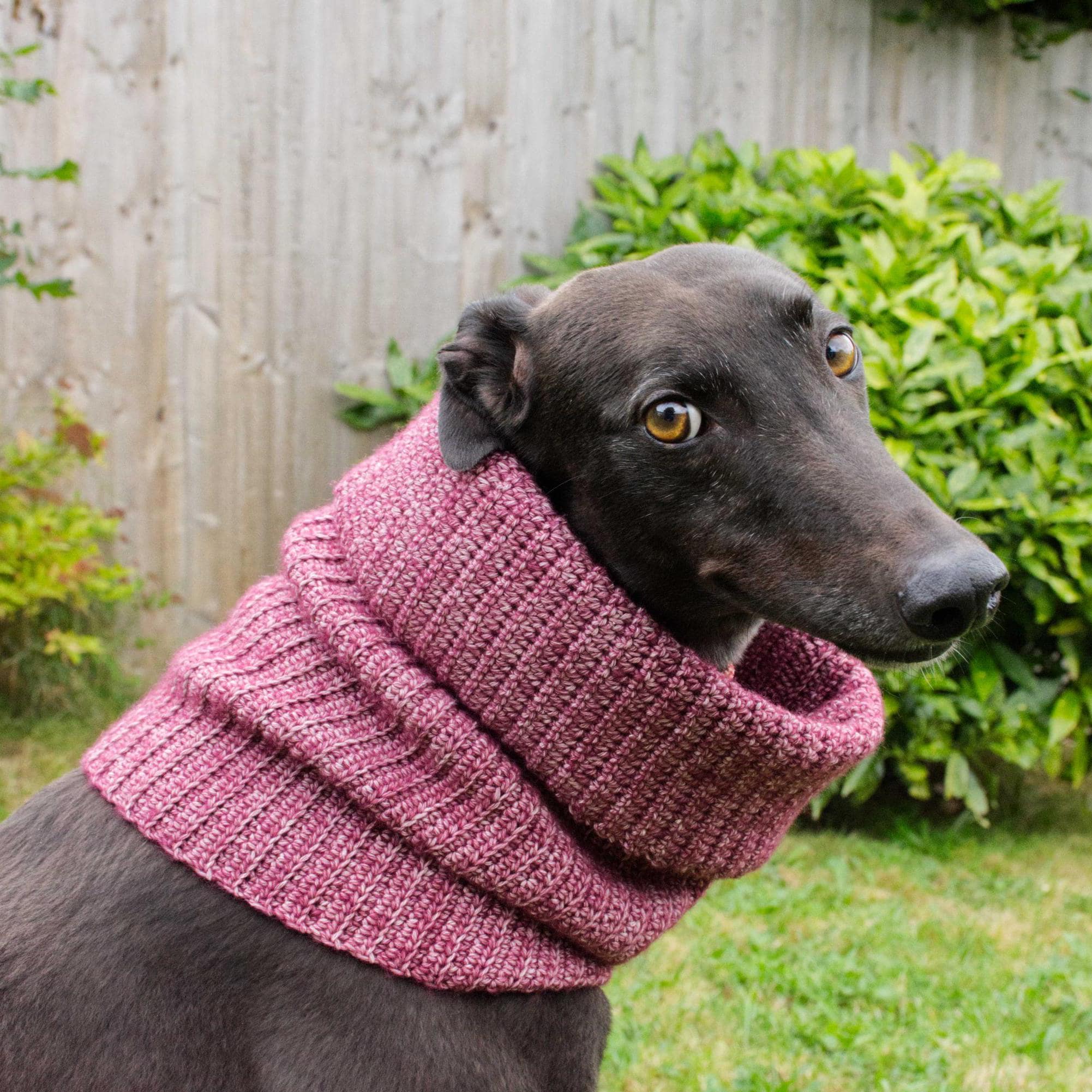 30 Dog Snood Crochet Patterns for Cozy, Cute, and Practical Pet Wear 2 Faye Dog Snood Crochet Pattern