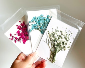 12 PCs DIY Real Dried Pressed Flower,Everlasting babysbreath Gypsophila