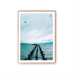 Nature Print, Puerto Natales, Chile, Patagonia, Photography