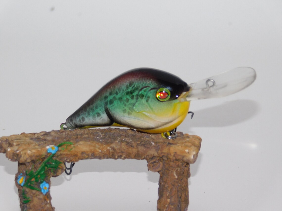 Custom Airbrushed Painted Pattern Fishing Lure Crankbait Etsy