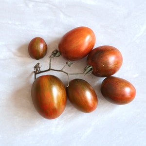 May include: A cluster of six brown and red heirloom tomatoes on a vine. The tomatoes are oval-shaped and have a glossy finish.