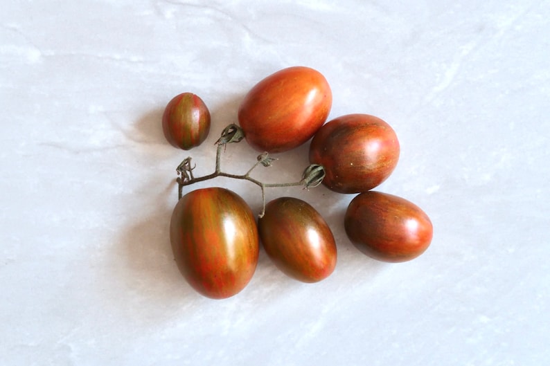May include: A cluster of six brown and red heirloom tomatoes on a vine. The tomatoes are oval-shaped and have a glossy finish.