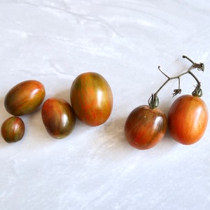 May include: Five brown and green heirloom tomatoes on a white marble surface. Two of the tomatoes are still attached to a vine.