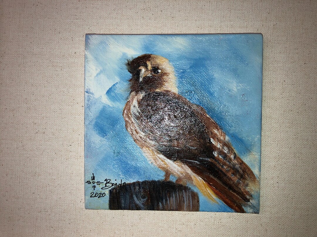 Southwest Red Hawk - Etsy