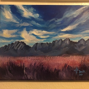 11x14 Whispy Cloud Organs