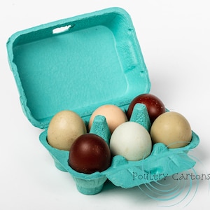 Blue Paper Pulp Chicken Egg Cartons (6 eggs)