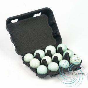 25 Black Paper Quail Egg Cartons (12 eggs)