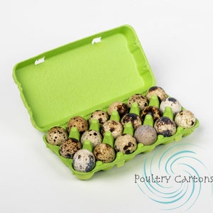 Green Paper Pulp Quail Egg Cartons (18 eggs)