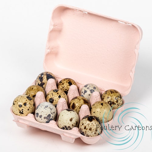 100 Paper Quail Egg Carton 12 Eggs Etsy