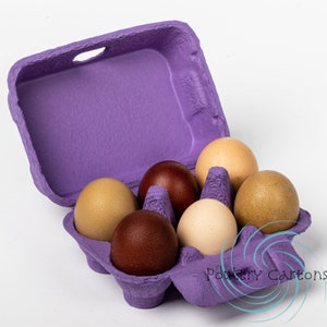 Purple Paper Pulp Chicken Egg Cartons (6 eggs)