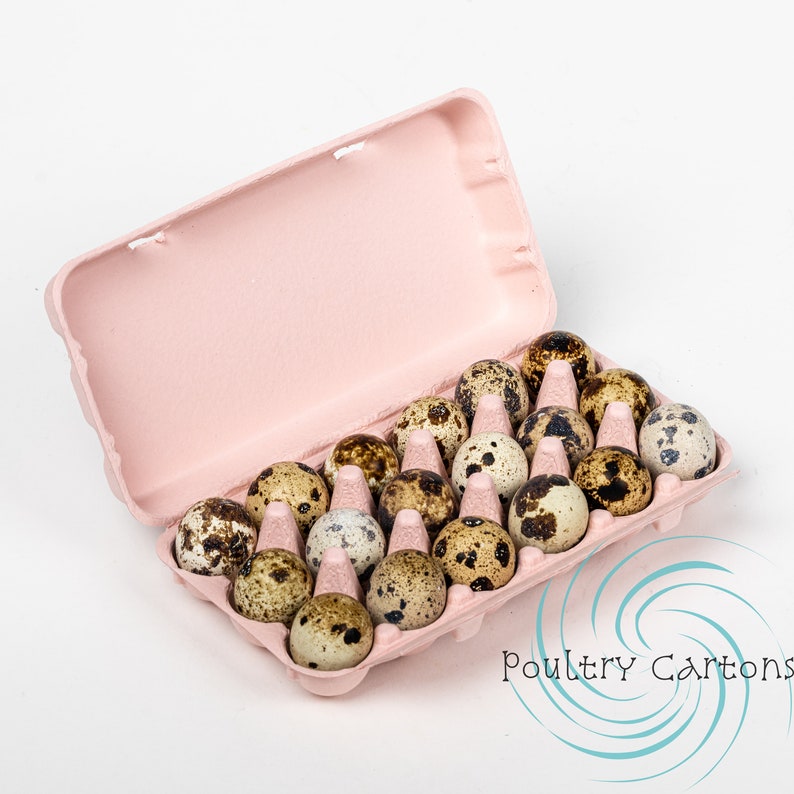 Assortment Paper Pulp Quail Egg Cartons 18 Eggs Etsy