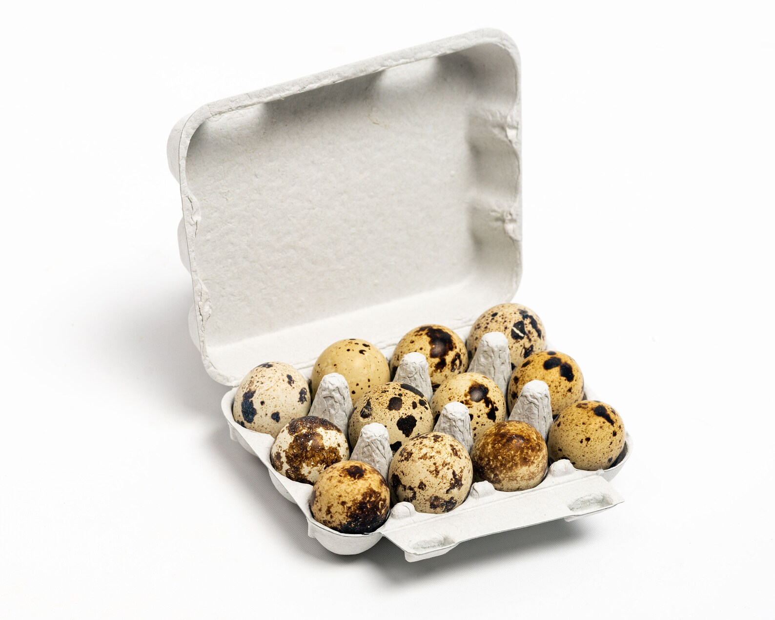 50 Paper Quail Egg Carton 12 Eggs Etsy