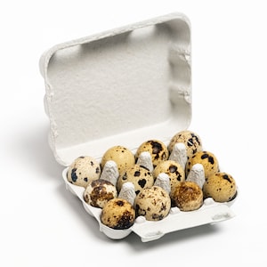 25 Paper Quail Egg Carton (12 eggs)