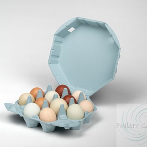 Könnte beinhalten: Ein hellblauer Eierkarton mit einem Dutzend Eiern in verschiedenen Farben, darunter Weiß, Braun und Blau. Der Deckel ist geöffnet und zeigt die Eier. Die Worte "Poultry Cartons" befinden sich in der unteren rechten Ecke.