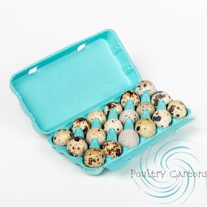 Blue Paper Pulp Quail Egg Cartons (18 eggs)