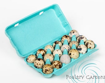 Cartones de huevos de codorniz de pulpa de papel azul (18 huevos)