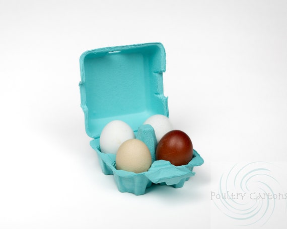 Turquoise Blue Paper Pulp Chicken Egg Cartons (6 eggs)