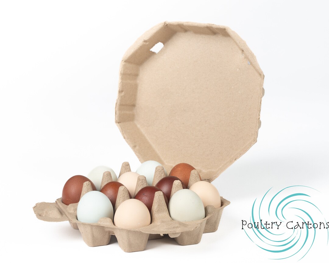 Brown Octagon Paper Pulp Chicken Egg Cartons 12 Eggs Etsy