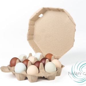 Brown Octagon Paper Pulp Chicken Egg Cartons (12 eggs)