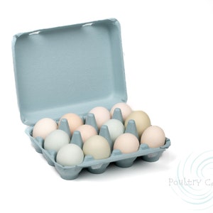 Bantam (Small Eggs) Mist Blue Square Paper Pulp Egg Cartons (12 eggs)