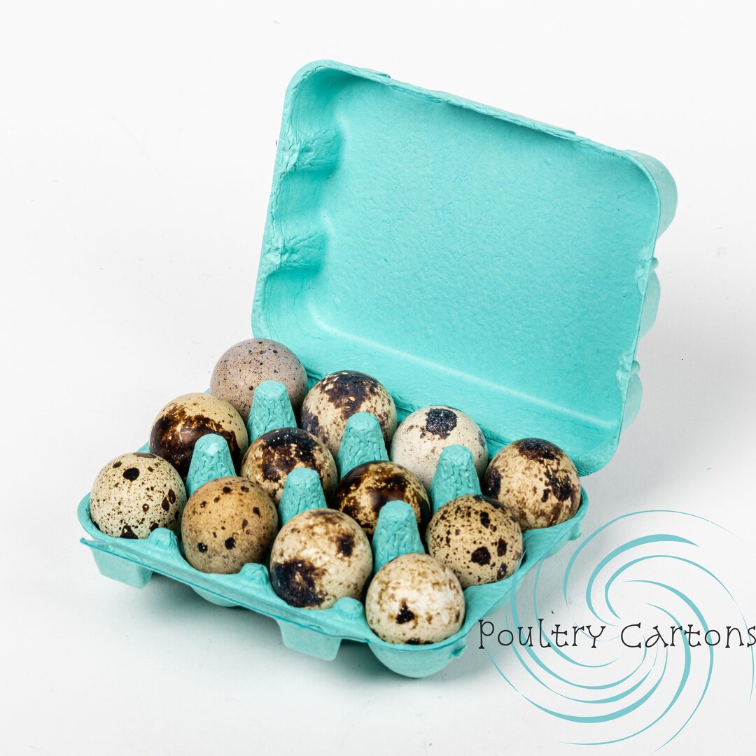 Blue Paper Pulp Quail Egg Cartons 12 Eggs Etsy
