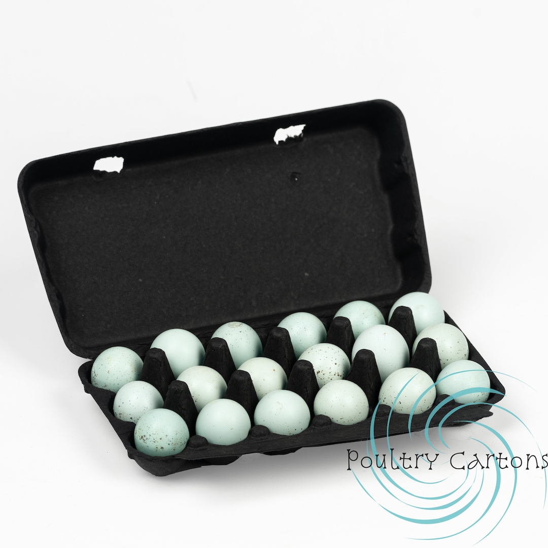 100 Black Paper Quail Egg Cartons 18 Eggs Etsy
