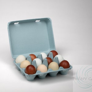 Blue Mist Square Paper Pulp Chicken Egg Cartons (12 eggs)