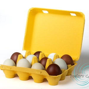 Sunny Side Up Yellow Square Paper Pulp Chicken Egg Cartons (12 eggs)