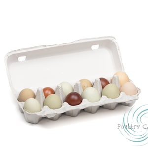 Paper Pulp Chicken Egg Cartons (12 eggs)