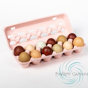 Pink Open Top Paper Pulp Chicken Egg Cartons (12 eggs)